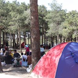 حضور شهروندان در بوستان جنگلی چیتگر