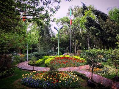 عکس گل های پارک چیتگر